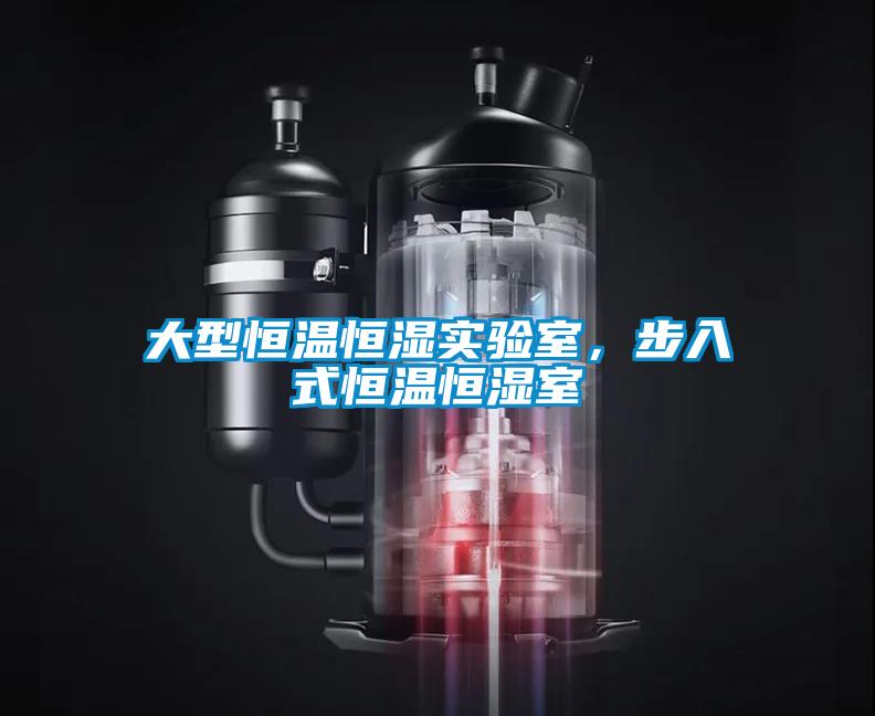 大型恒温恒湿实验室，步入式恒温恒湿室
