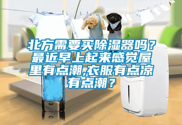 北方需要买除湿器吗？最近早上起来感觉屋里有点潮,衣服有点凉有点潮？