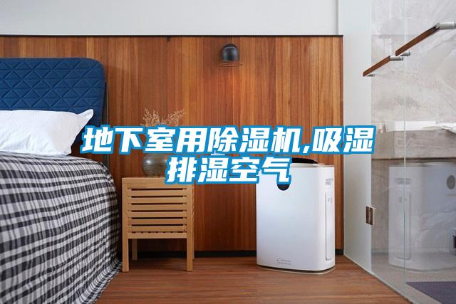 地下室用草莓视频APP在线观看,吸湿排湿空气