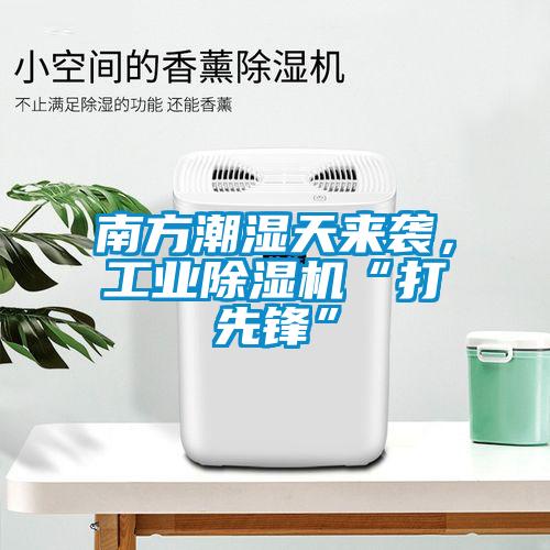 南方潮湿天来袭，工业草莓视频APP在线观看“打先锋”