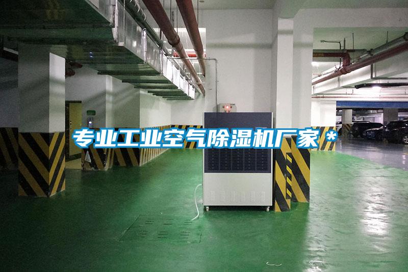 专业工业空气草莓视频APP在线观看厂家＊
