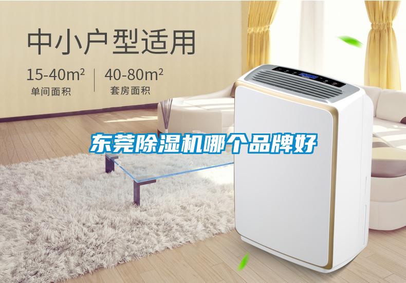 东莞草莓视频APP在线观看哪个品牌好