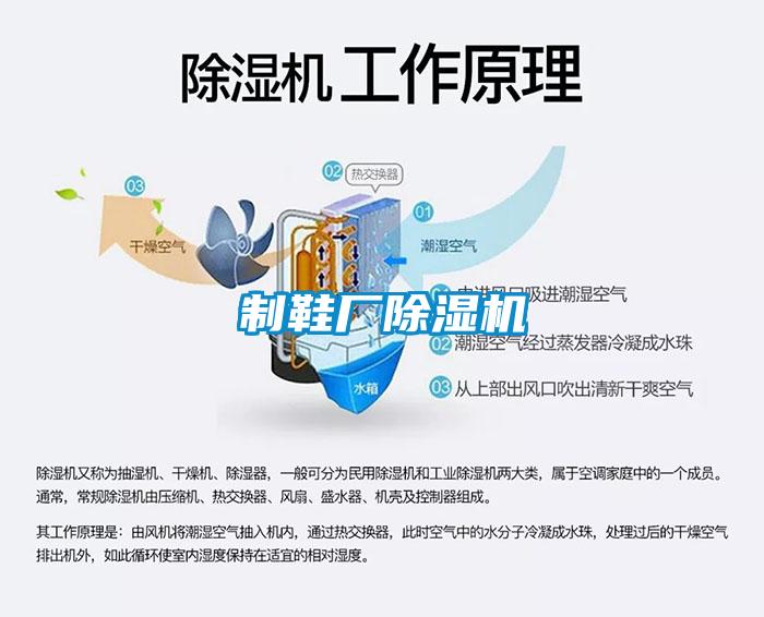 制鞋厂草莓视频APP在线观看