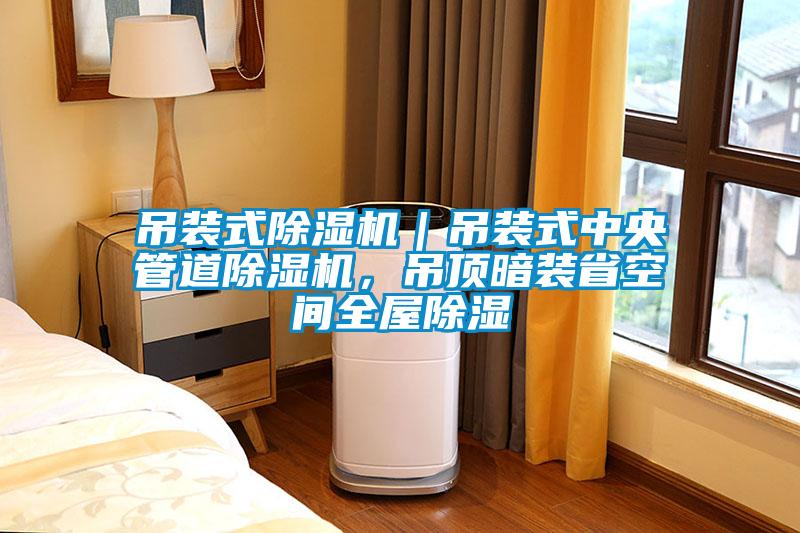 吊装式草莓视频APP在线观看｜吊装式中央管道草莓视频APP在线观看，吊顶暗装省空间全屋除湿