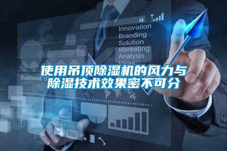使用吊顶草莓视频APP在线观看的风力与除湿技术效果密不可分