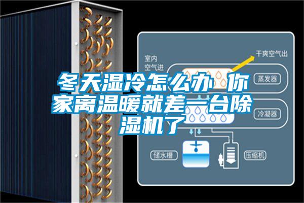 冬天湿冷怎么办 你家离温暖就差一台草莓视频APP在线观看了