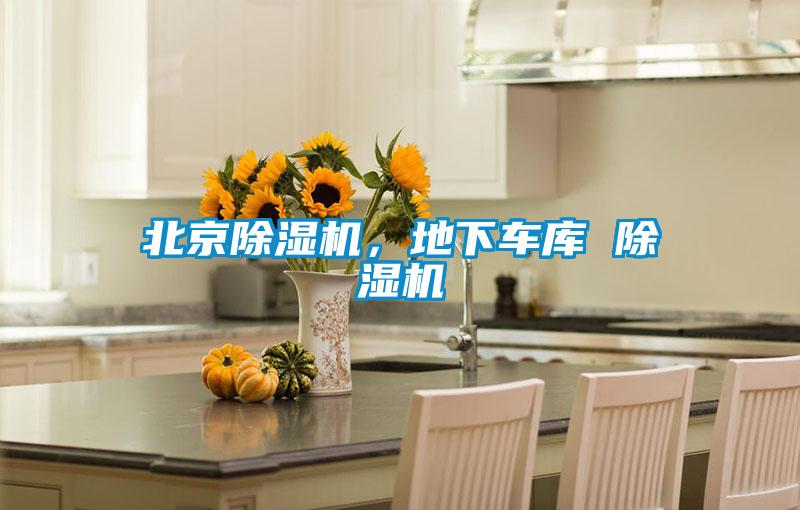 北京草莓视频APP在线观看，地下车库 草莓视频APP在线观看