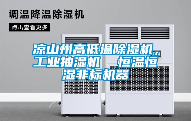 凉山州高低温草莓视频APP在线观看，工业抽湿机  恒温恒湿非标机器