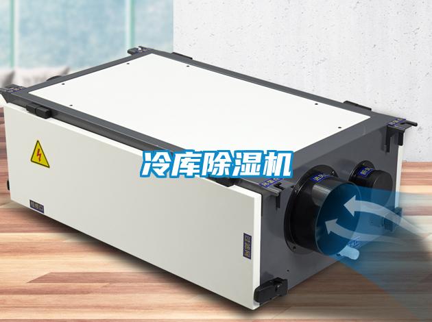 冷库草莓视频APP在线观看