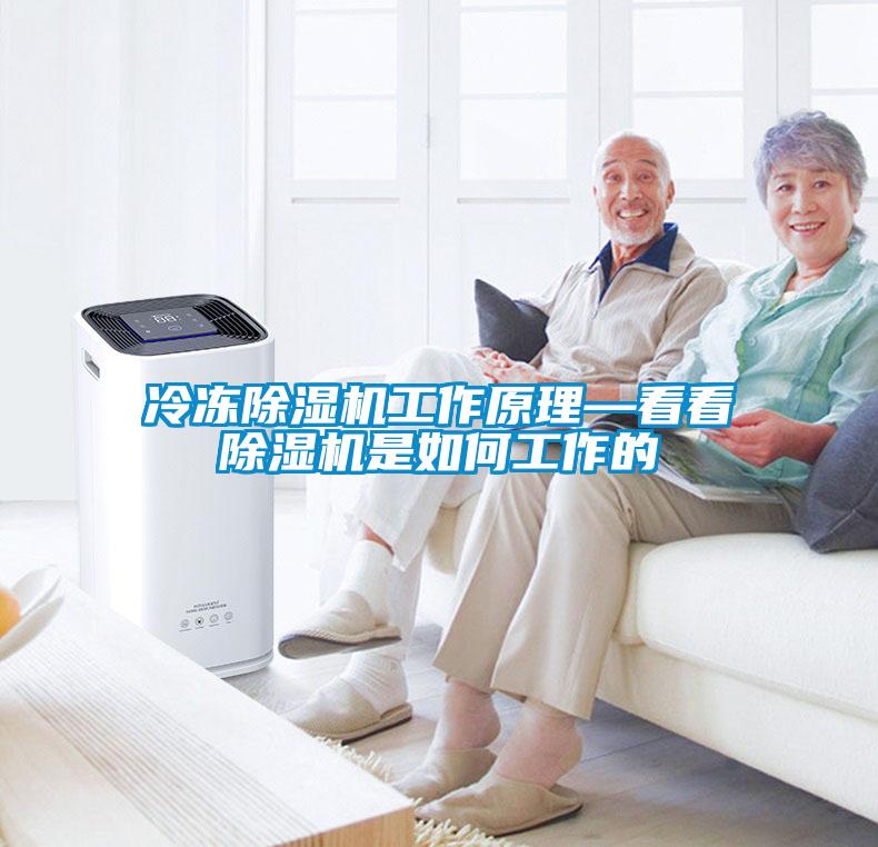 冷冻草莓视频APP在线观看工作原理—看看草莓视频APP在线观看是如何工作的