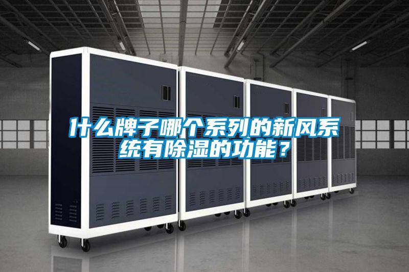 什么牌子哪个系列的新风系统有除湿的功能？
