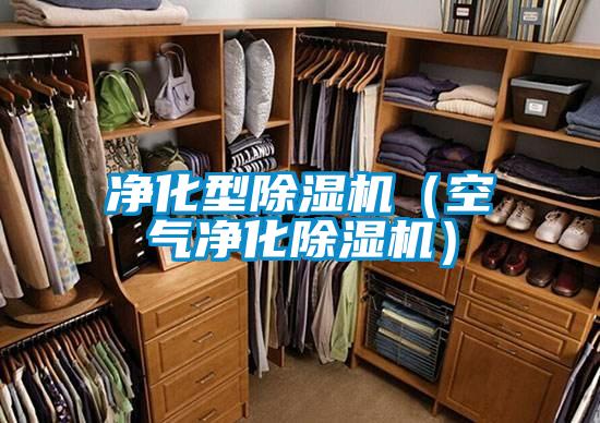 净化型草莓视频APP在线观看（空气净化草莓视频APP在线观看）