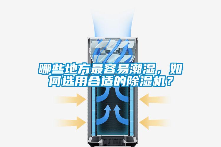 哪些地方最容易潮湿，如何选用合适的草莓视频APP在线观看？