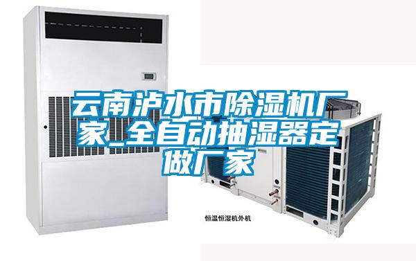 云南泸水市草莓视频APP在线观看厂家_全自动抽湿器定做厂家