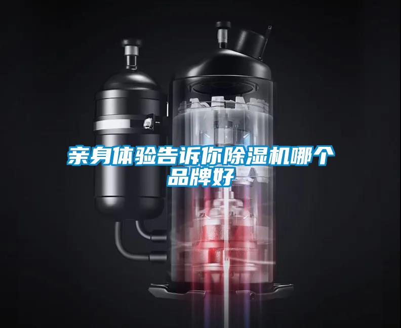 亲身体验告诉你草莓视频APP在线观看哪个品牌好