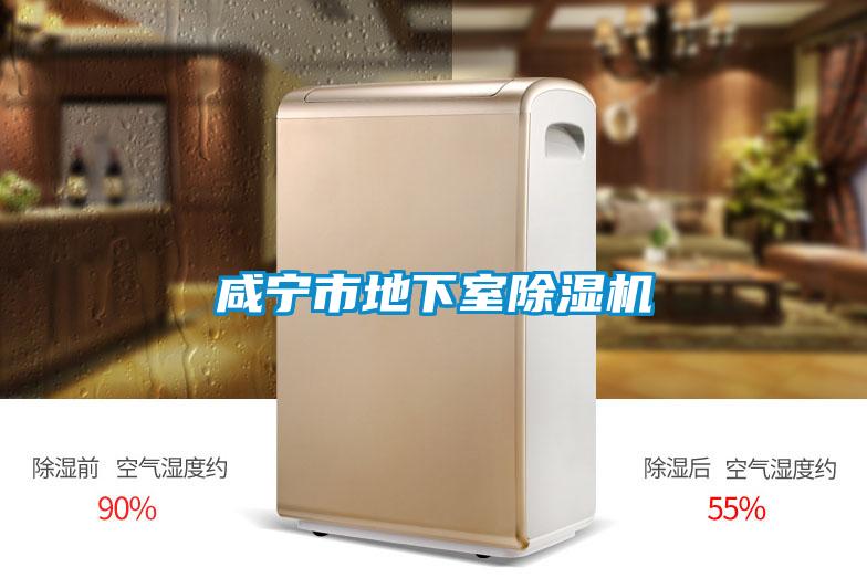 咸宁市地下室草莓视频APP在线观看