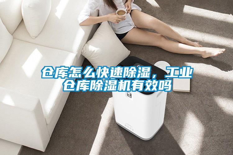 仓库怎么快速除湿，工业仓库草莓视频APP在线观看有效吗