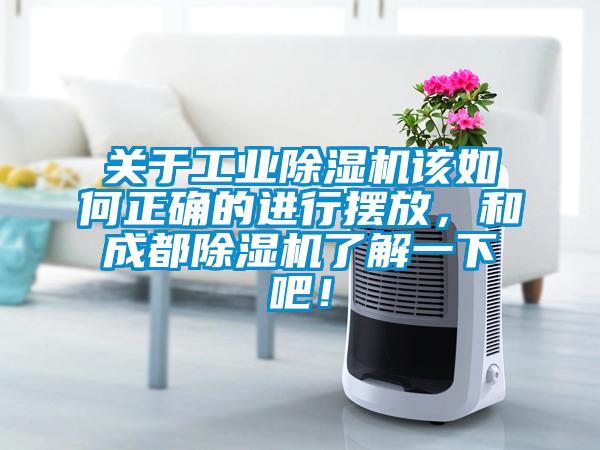 关于工业草莓视频APP在线观看该如何正确的进行摆放，和成都草莓视频APP在线观看了解一下吧！