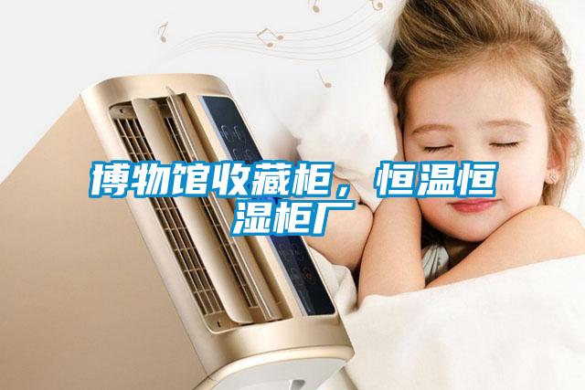 博物馆收藏柜，恒温恒湿柜厂