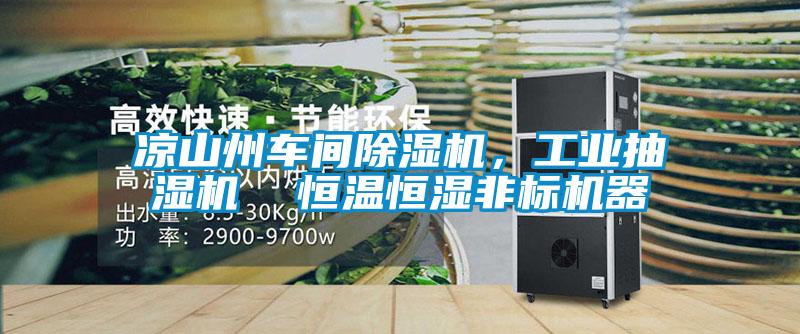 凉山州车间草莓视频APP在线观看，工业抽湿机  恒温恒湿非标机器