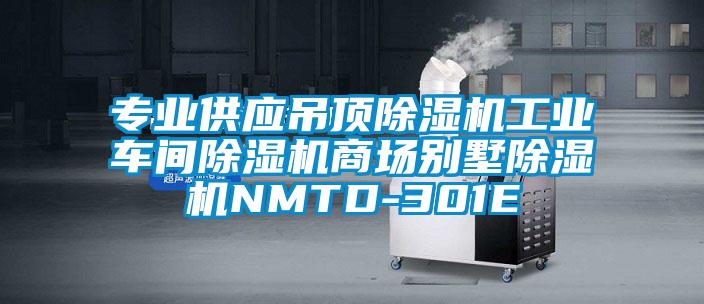 专业供应吊顶草莓视频APP在线观看工业车间草莓视频APP在线观看商场别墅草莓视频APP在线观看NMTD-301E