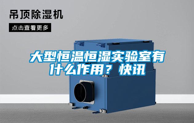 大型恒温恒湿实验室有什么作用？快讯