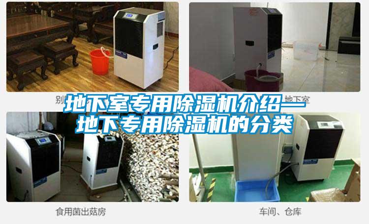地下室专用草莓视频APP在线观看介绍—地下专用草莓视频APP在线观看的分类