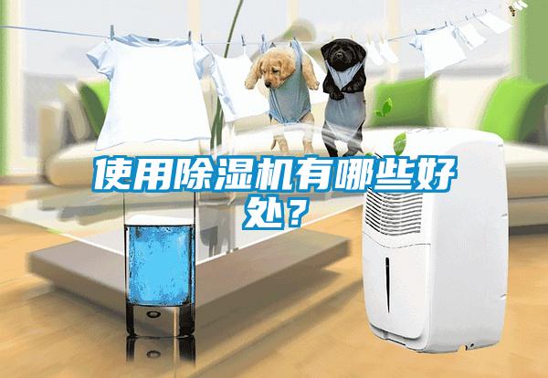 使用草莓视频APP在线观看有哪些好处？