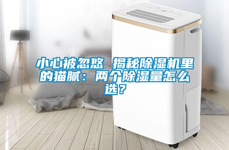 小心被忽悠 揭秘草莓视频APP在线观看里的猫腻：两个除湿量怎么选？