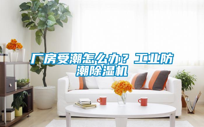 厂房受潮怎么办？工业防潮草莓视频APP在线观看