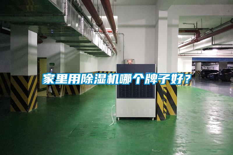 家里用草莓视频APP在线观看哪个牌子好？