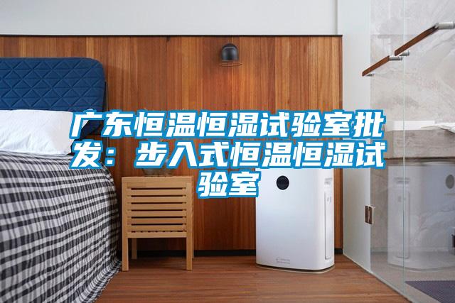 广东恒温恒湿试验室批发：步入式恒温恒湿试验室