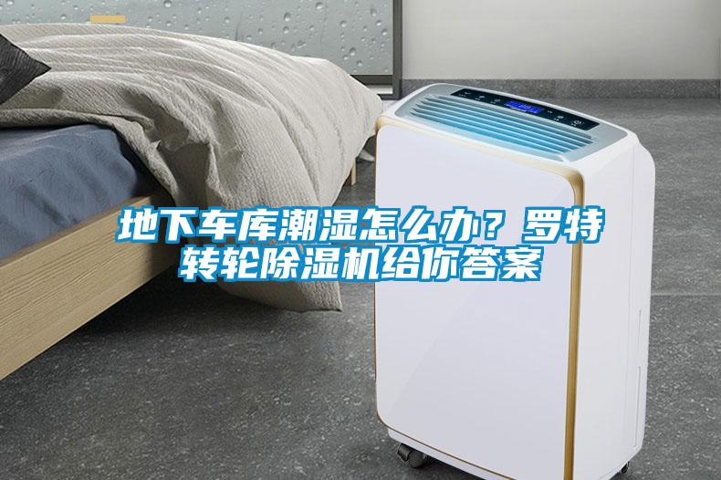 地下车库潮湿怎么办？罗特转轮草莓视频APP在线观看给你答案