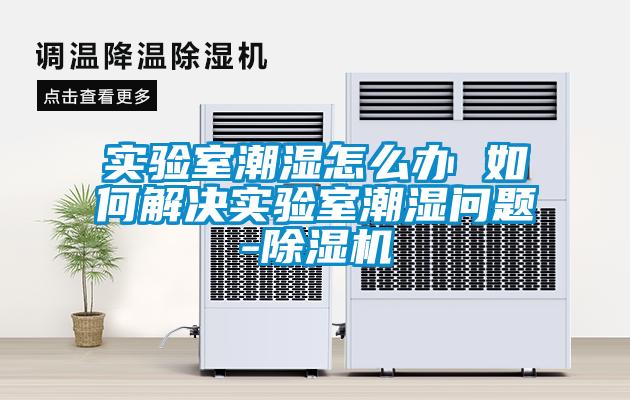 实验室潮湿怎么办 如何解决实验室潮湿问题-草莓视频APP在线观看