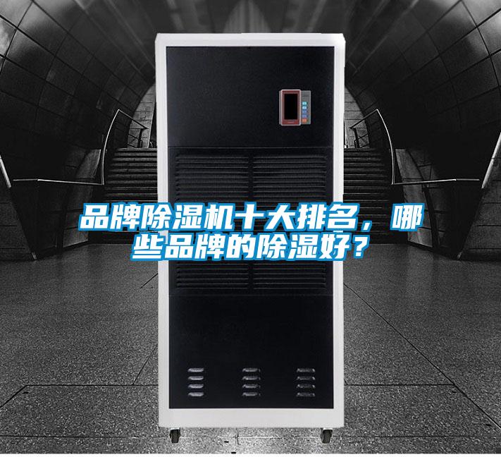 品牌草莓视频APP在线观看十大排名，哪些品牌的除湿好？