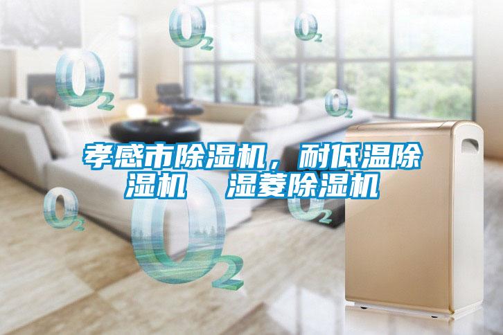 孝感市草莓视频APP在线观看，耐低温草莓视频APP在线观看  湿菱草莓视频APP在线观看