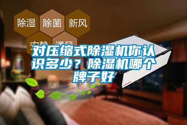 对压缩式草莓视频APP在线观看你认识多少？草莓视频APP在线观看哪个牌子好