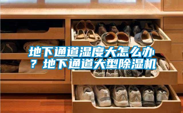 地下通道湿度大怎么办？地下通道大型草莓视频APP在线观看