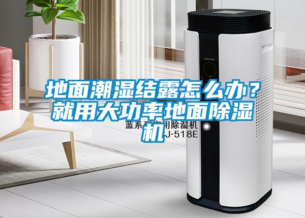 地面潮湿结露怎么办？就用大功率地面草莓视频APP在线观看