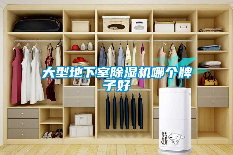 大型地下室草莓视频APP在线观看哪个牌子好