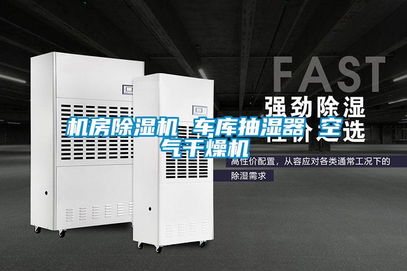 机房草莓视频APP在线观看 车库抽湿器 空气干燥机
