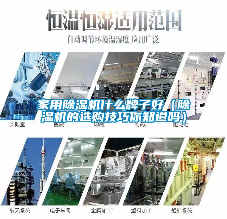 家用草莓视频APP在线观看什么牌子好（草莓视频APP在线观看的选购技巧你知道吗）