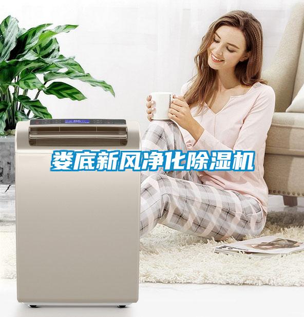 娄底新风净化草莓视频APP在线观看