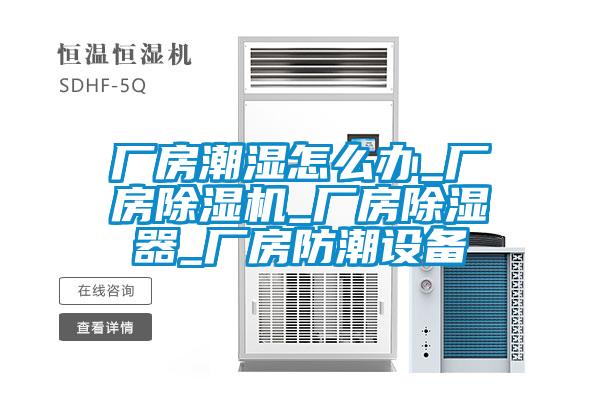 厂房潮湿怎么办_厂房草莓视频APP在线观看_厂房除湿器_厂房防潮设备