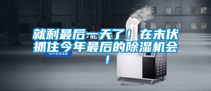 就剩最后一天了！在末伏抓住今年最后的草莓视频APP在线观看会！