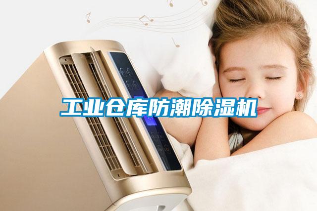 工业仓库防潮草莓视频APP在线观看