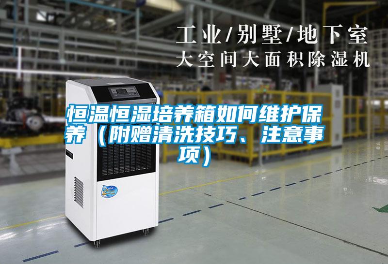 恒温恒湿培养箱如何维护保养（附赠清洗技巧、注意事项）