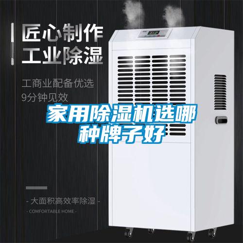 家用草莓视频APP在线观看选哪种牌子好