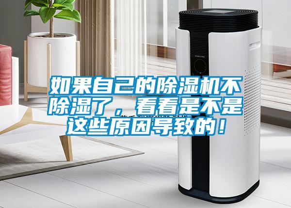 如果自己的草莓视频APP在线观看不除湿了，看看是不是这些原因导致的！