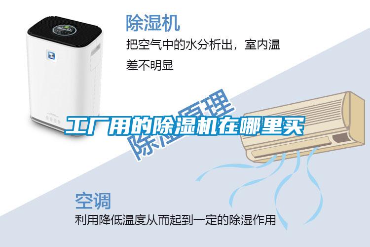工厂用的草莓视频APP在线观看在哪里买